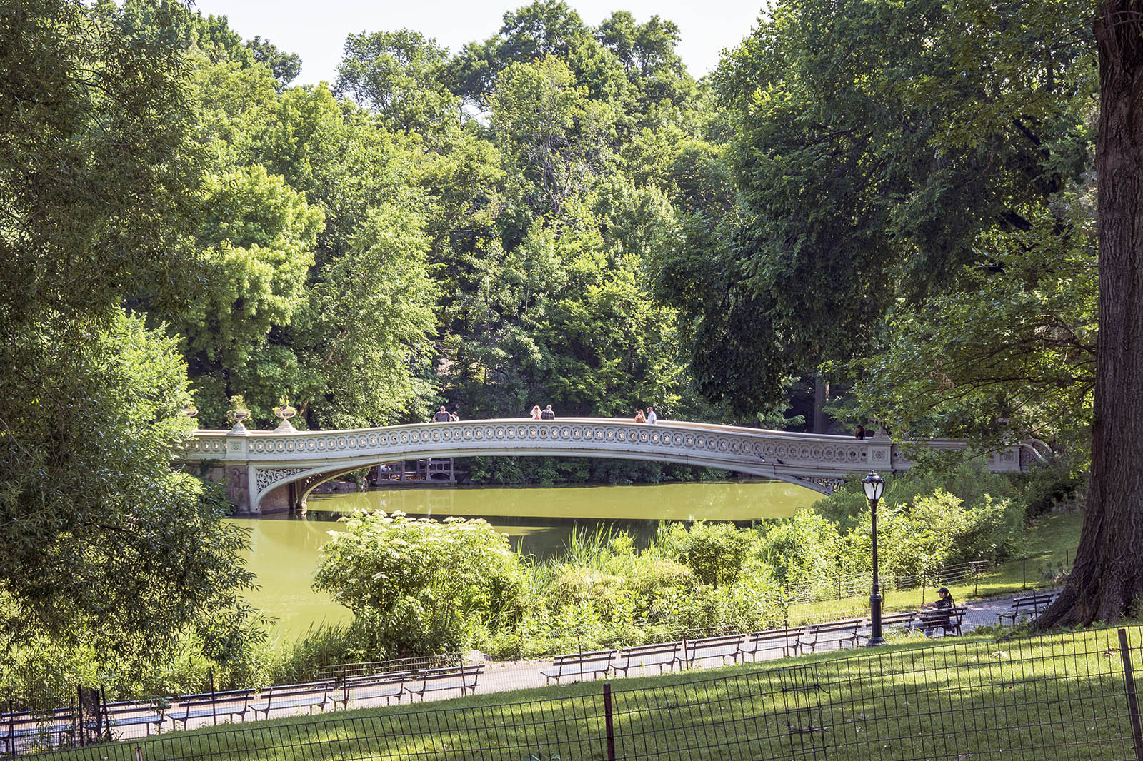 Bow Bridge Central Park