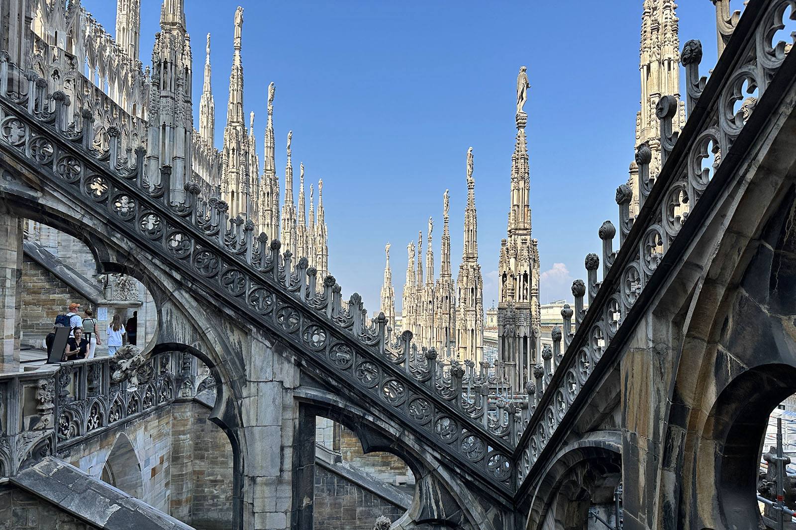 Milano katedral